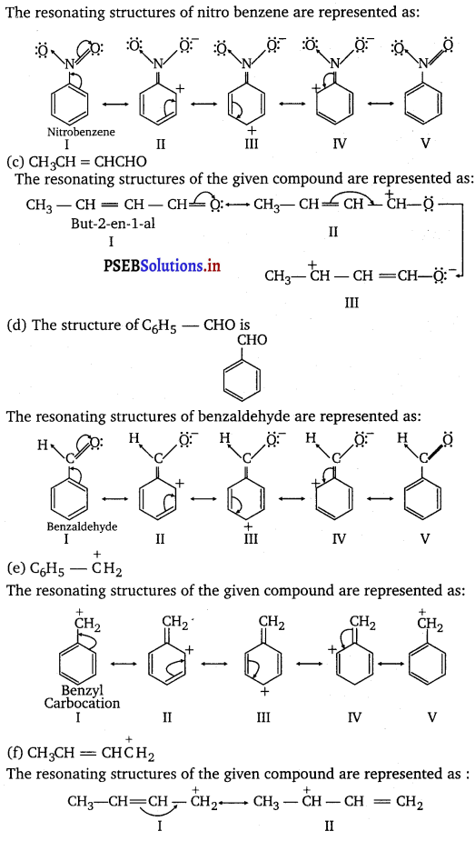PSEB 11th Class Chemistry Solutions Chapter 12 Organic Chemistry Some Basic Principles and Techniques 17