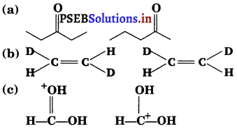 PSEB 11th Class Chemistry Solutions Chapter 12 Organic Chemistry Some Basic Principles and Techniques 26