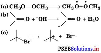 PSEB 11th Class Chemistry Solutions Chapter 12 Organic Chemistry Some Basic Principles and Techniques 30