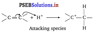 PSEB 11th Class Chemistry Solutions Chapter 12 Organic Chemistry Some Basic Principles and Techniques 39