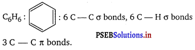 PSEB 11th Class Chemistry Solutions Chapter 12 Organic Chemistry Some Basic Principles and Techniques 5