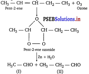 PSEB 11th Class Chemistry Solutions Chapter 13 Hydrocarbons 11