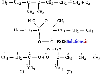 PSEB 11th Class Chemistry Solutions Chapter 13 Hydrocarbons 12