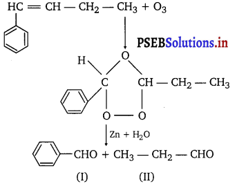 PSEB 11th Class Chemistry Solutions Chapter 13 Hydrocarbons 14