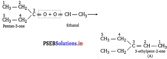 PSEB 11th Class Chemistry Solutions Chapter 13 Hydrocarbons 15