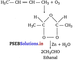 PSEB 11th Class Chemistry Solutions Chapter 13 Hydrocarbons 18