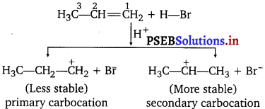 PSEB 11th Class Chemistry Solutions Chapter 13 Hydrocarbons 32