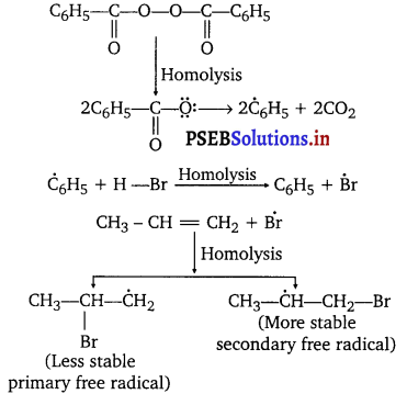 PSEB 11th Class Chemistry Solutions Chapter 13 Hydrocarbons 34