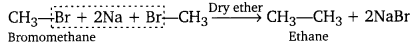 PSEB 11th Class Chemistry Solutions Chapter 13 Hydrocarbons 43