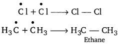 PSEB 11th Class Chemistry Solutions Chapter 13 Hydrocarbons 5