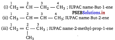 PSEB 11th Class Chemistry Solutions Chapter 13 Hydrocarbons 9