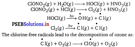 PSEB 11th Class Chemistry Solutions Chapter 14 Environmen 10
