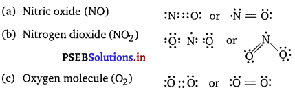 PSEB 11th Class Chemistry Solutions Chapter 4 Chemical Bonding and Molecular Structure 10