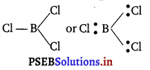 PSEB 11th Class Chemistry Solutions Chapter 4 Chemical Bonding and Molecular Structure 12