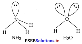 PSEB 11th Class Chemistry Solutions Chapter 4 Chemical Bonding and Molecular Structure 17