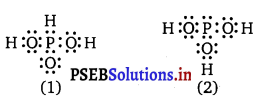 PSEB 11th Class Chemistry Solutions Chapter 4 Chemical Bonding and Molecular Structure 19