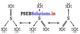PSEB 11th Class Chemistry Solutions Chapter 4 Chemical Bonding and Molecular Structure 20