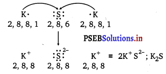 PSEB 11th Class Chemistry Solutions Chapter 4 Chemical Bonding and Molecular Structure 24