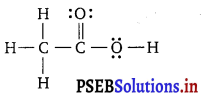 PSEB 11th Class Chemistry Solutions Chapter 4 Chemical Bonding and Molecular Structure 32
