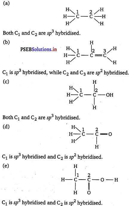 PSEB 11th Class Chemistry Solutions Chapter 4 Chemical Bonding and Molecular Structure 44
