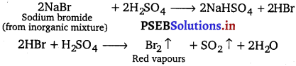 PSEB 11th Class Chemistry Solutions Chapter 8 Redox Reactions 37