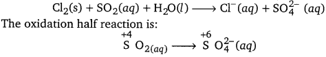 PSEB 11th Class Chemistry Solutions Chapter 8 Redox Reactions 53