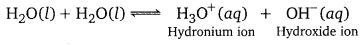 PSEB 11th Class Chemistry Solutions Chapter 9 Hydrogen 13