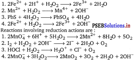 PSEB 11th Class Chemistry Solutions Chapter 9 Hydrogen 19