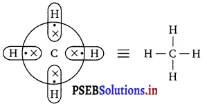 PSEB 11th Class Chemistry Solutions Chapter 9 Hydrogen 6