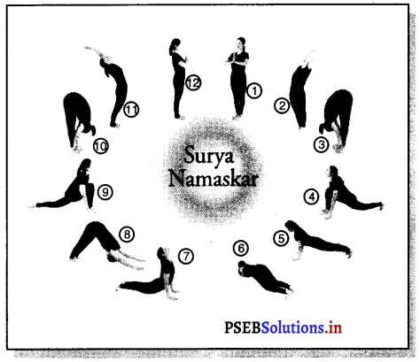 PSEB 11th Class Physical Education Solutions Chapter 4 ਯੋਗ 1