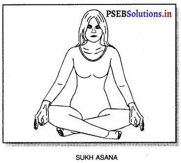 PSEB 11th Class Physical Education Solutions Chapter 4 ਯੋਗ 2
