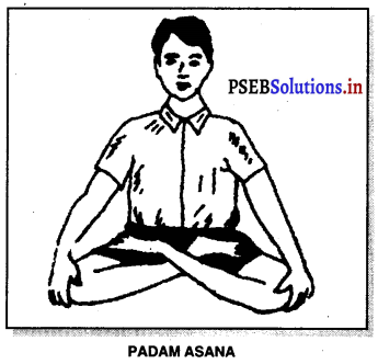 PSEB 11th Class Physical Education Solutions Chapter 4 ਯੋਗ 4