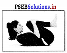 PSEB 11th Class Physical Education Solutions Chapter 4 ਯੋਗ 8