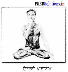PSEB 11th Class Physical Education Solutions Chapter 4 ਯੋਗ 9