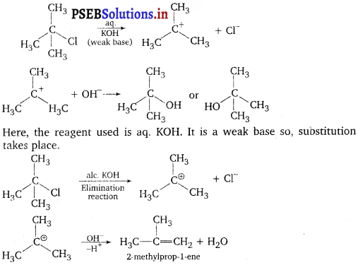 PSEB 12th Class Chemistry Important Questions Chapter 10 Haloalkanes and Haloarenes 13