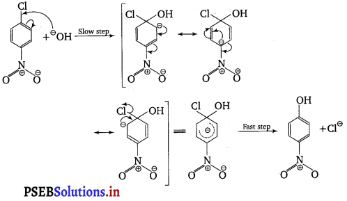 PSEB 12th Class Chemistry Important Questions Chapter 10 Haloalkanes and Haloarenes 15