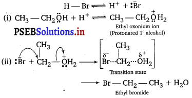 PSEB 12th Class Chemistry Important Questions Chapter 10 Haloalkanes and Haloarenes 7