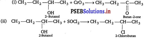 PSEB 12th Class Chemistry Important Questions Chapter 11 Alcohols, Phenols and Ethers 1