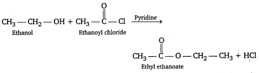 PSEB 12th Class Chemistry Important Questions Chapter 11 Alcohols, Phenols and Ethers 2