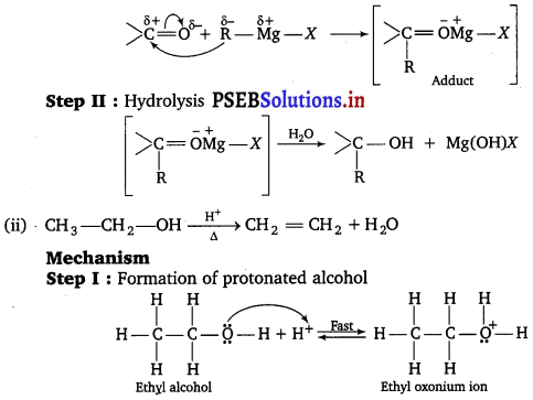 PSEB 12th Class Chemistry Important Questions Chapter 11 Alcohols, Phenols and Ethers 20