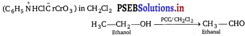 PSEB 12th Class Chemistry Important Questions Chapter 11 Alcohols, Phenols and Ethers 6