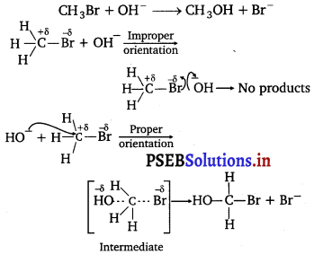PSEB 12th Class Chemistry Important Questions Chapter 4 Chemical Kinetics 5