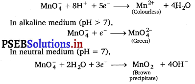 PSEB 12th Class Chemistry Important Questions Chapter 8 The d-and f-Block Elements 2