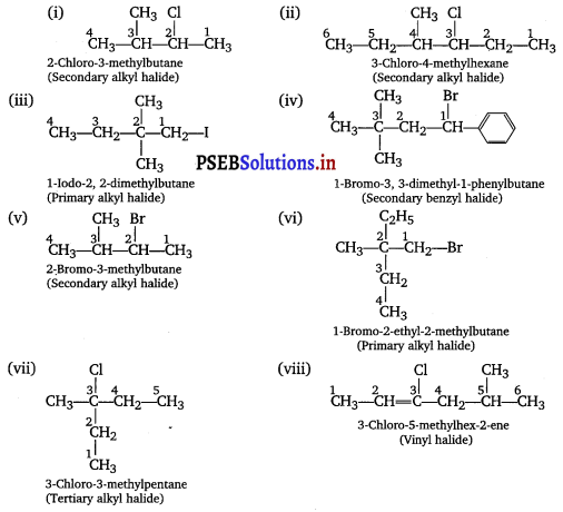 PSEB 12th Class Chemistry Solutions Chapter 10 Haloalkanes and Haloarenes 1