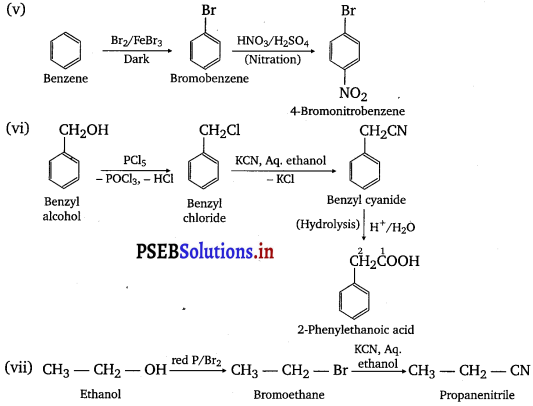 PSEB 12th Class Chemistry Solutions Chapter 10 Haloalkanes and Haloarenes 34