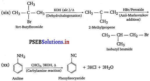PSEB 12th Class Chemistry Solutions Chapter 10 Haloalkanes and Haloarenes 39