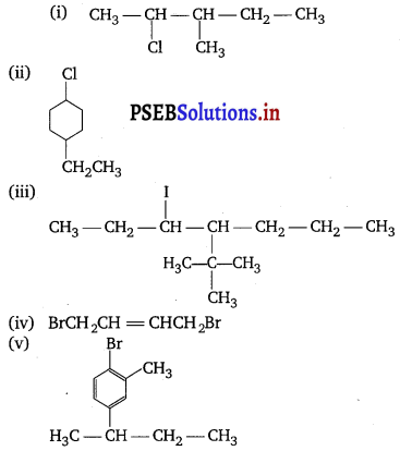 PSEB 12th Class Chemistry Solutions Chapter 10 Haloalkanes and Haloarenes 50