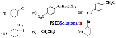PSEB 12th Class Chemistry Solutions Chapter 10 Haloalkanes and Haloarenes 55