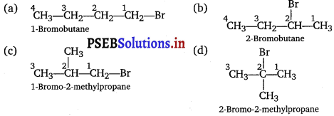 PSEB 12th Class Chemistry Solutions Chapter 10 Haloalkanes and Haloarenes 8