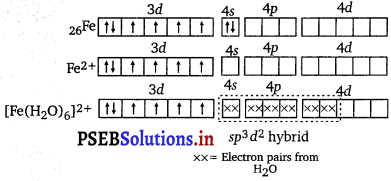 PSEB 12th Class Chemistry Solutions Chapter 8 The d-and f-Block Elements 11